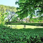 Daire Buonsignori - Wine & Olive Oil Farm Corsano (Tuscany)