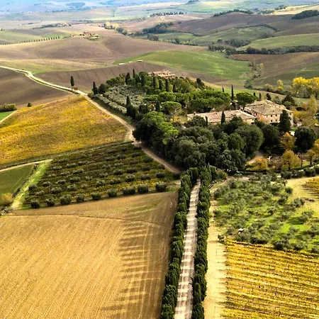 Apartamento Buonsignori - Wine & Olive Oil Farm Corsano (Tuscany)