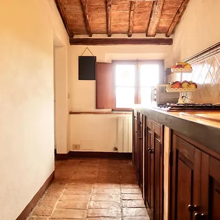 Buonsignori - Wine & Olive Oil Farm *