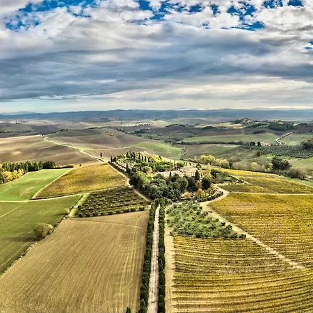Apartamento Buonsignori - Wine & Olive Oil Farm