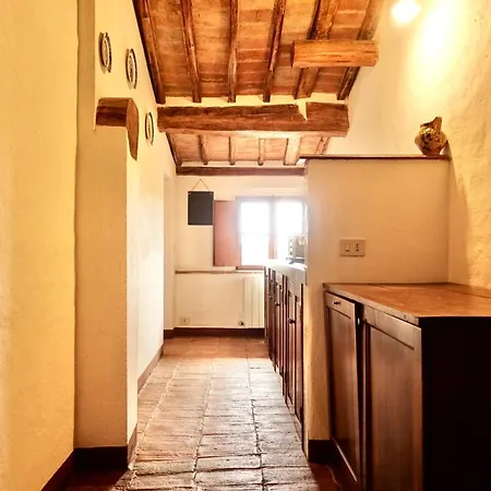 Buonsignori - Wine & Olive Oil Farm Corsano (Tuscany)