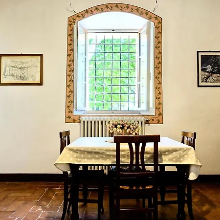Daire Buonsignori - Wine & Olive Oil Farm Corsano (Tuscany)