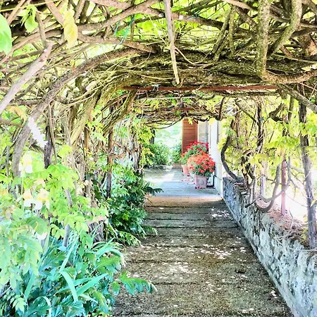 Buonsignori - Wine & Olive Oil Farm *