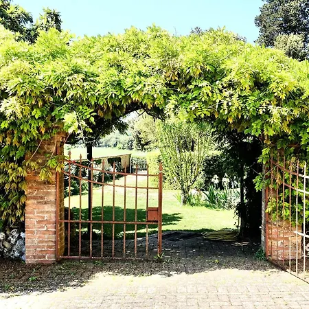 Buonsignori - Wine & Olive Oil Farm Daire *